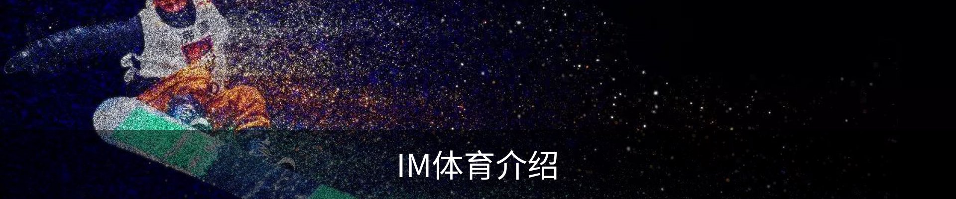 IM体育介绍